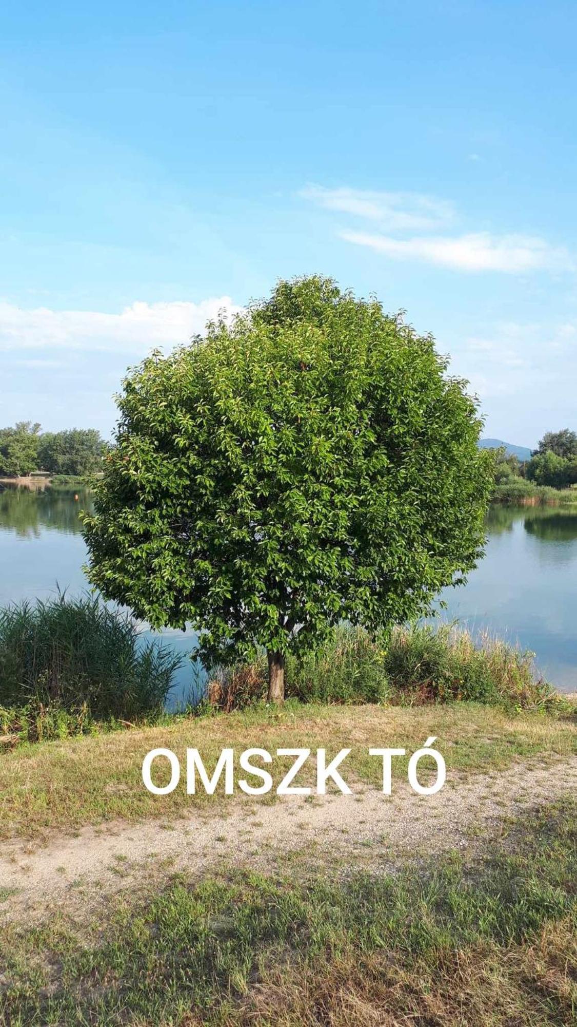בודקלאס Zen Apartman מראה חיצוני תמונה